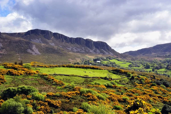 Malebná Krajina Kruhovu Prstenu Irské Republice — Stock fotografie
