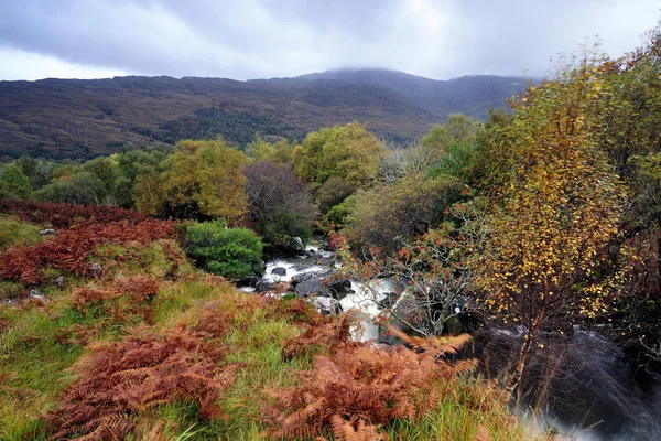 Outono Cores Montanhas Riachos Black Valley Kerry Irlanda — Fotografia de Stock