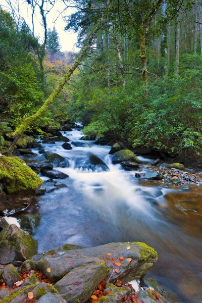 Arroyo Montaña Flujo Rápido Parque Nacional Killarney Kerry Irlanda —  Fotos de Stock