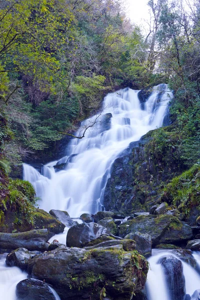 Ruisseau Montagne Écoulement Rapide Cascade Dans Parc National Killarney Comté — Photo