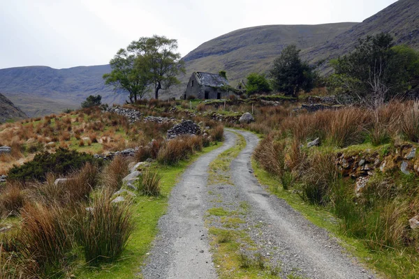 Štěrková Cesta Vedoucí Rozzáblé Budově Black Valley Kerry Irsko Připomíná — Stock fotografie