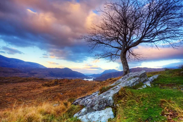 Superficie Montagnes Nommée Ladies View Killarney National Park Kerry Irlande — Photo