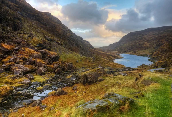 Killarney Ulusal Parkı, Co.Kerry, İrlanda        