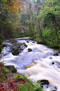 Clare Glens Sonbahar, Co.Tipperary, İrlanda