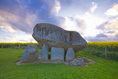 Brownshill Dolmen, Co.Carlow