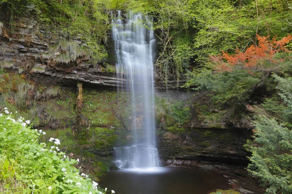 Cascada Glencar Condado Leitrim República Irlanda —  Fotos de Stock