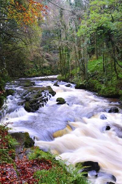 Otoño Clare Glens Condado Tipperary Irlanda — Foto de Stock