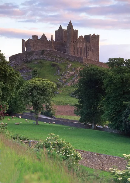 Rock Cashel Tipperary Irland — Stockfoto