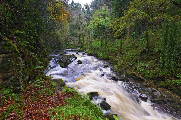 Automne Clare Glens Tipperary Irlande — Photo