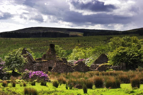 Knockmealdown Mountains Yaz Tipperary Rlanda — Stok fotoğraf