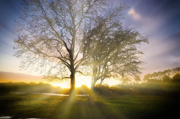 County Westmeath Rlanda Bir Ilçedir Midlands Bölgesi Nin Leinster Eyaletinin — Stok fotoğraf