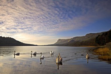 Lough Key, Roscommon, İrlanda'da adada inşa edilmiş antik kale