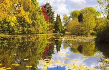 Altmont Gardens at autumn season, Carlow, Ireland clipart