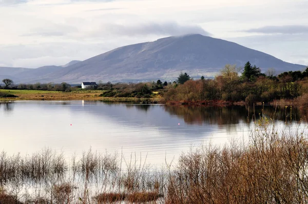 Blick Auf Nephin Mountain Bei Tag Irland — Stockfoto