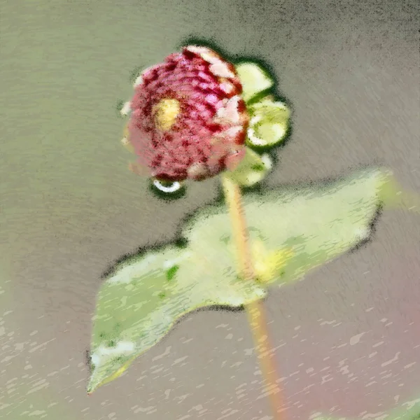 Close Flower Digital Painting — Stock Photo, Image
