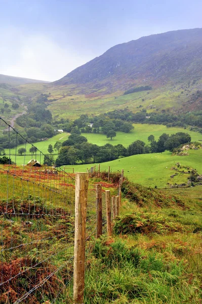 Gleninchiquin Park huzurlu manzara, Co.Kerry, İrlanda 