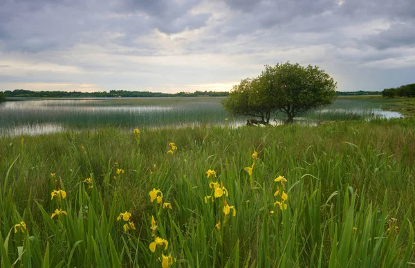 Kilglass gölü görünümü, Roscommon, İrlanda