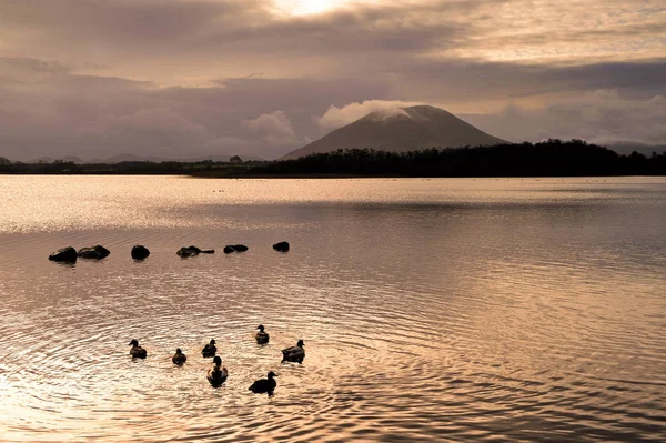 Blick Auf Den Teich Beltra Lough Mit Enten Mayo — Stockfoto