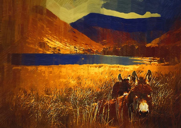 Ψηφιακή Ζωγραφιά Των Γαϊδουριών Της Λίμνης Και Των Βουνών Mweelrea — Φωτογραφία Αρχείου