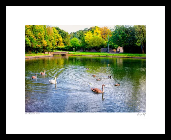 Vista Lagoa Atlântica Durante Dia Cork — Fotografia de Stock