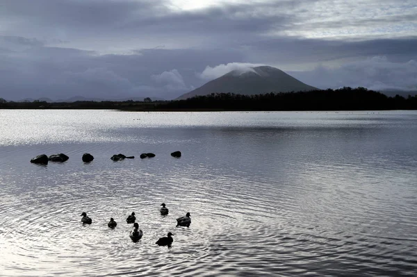 Blick Auf Den Teich Beltra Lough Mit Enten Mayo — Stockfoto