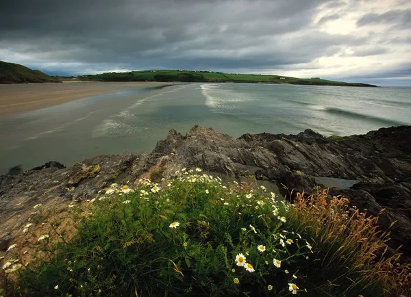 Mořskou Krajinu Ostrově Inchydoney West Cork Irsko — Stock fotografie