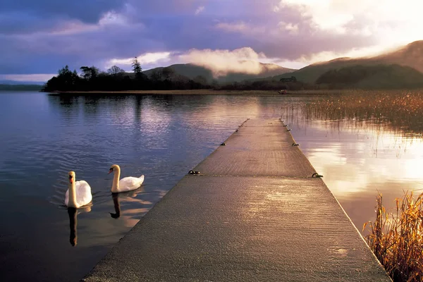 Reggel Lough Gill Sligo Írország — Stock Fotó