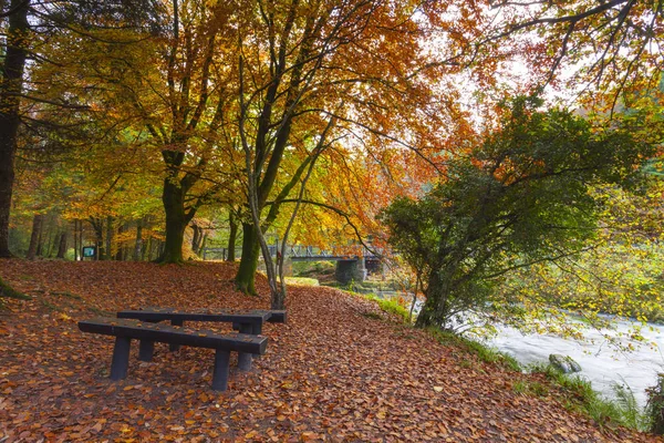 Dungarvan yakınlarındaki Colligan ormanda Piknik alanı, İrlanda