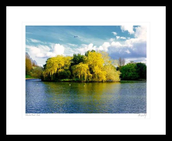 Vista Lagoa Atlântica Durante Dia Cork — Fotografia de Stock