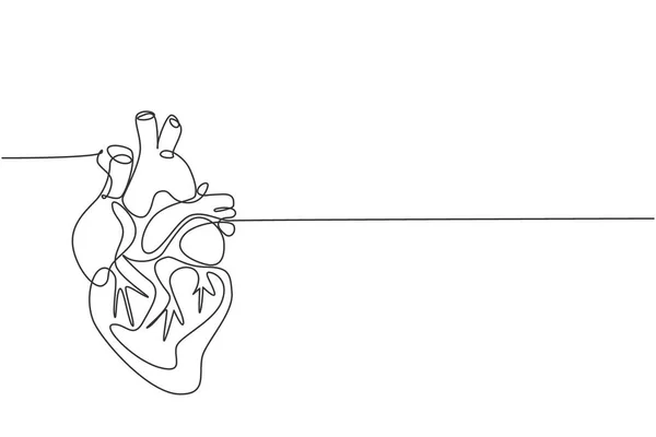 One Continuous Line Drawing Anatomical Human Heart Organ Medical Internal — Stock Vector