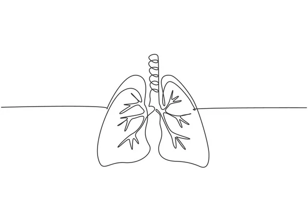 Dibujo Línea Continua Del Órgano Anatómico Los Pulmones Humanos Concepto — Vector de stock