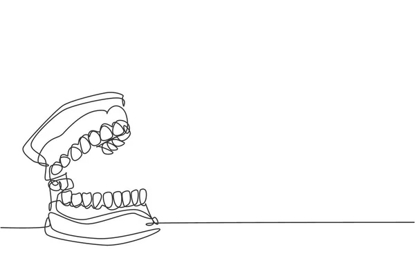 Uma Linha Contínua Desenho Dentes Humanos Adultos Completos Anatômicos Conceito —  Vetores de Stock