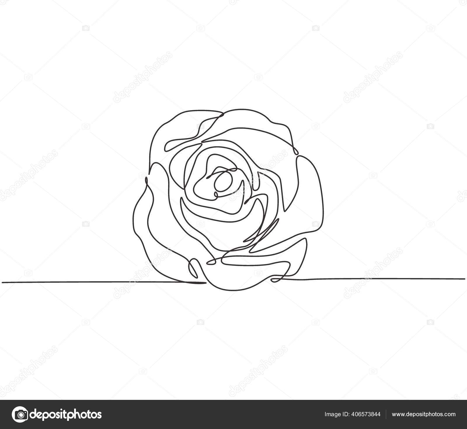 Featured image of post How To Draw A Beautiful Rose Flower : Check below our rose drawing guide with step by step instructions to help kids or beginners to draw a beautiful rose in no time.