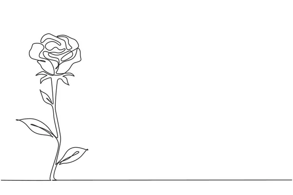 Einzelne Durchgehende Linienzeichnung Von Frischen Romantischen Schönen Rosenblüten Grußkarte Einladung — Stockvektor
