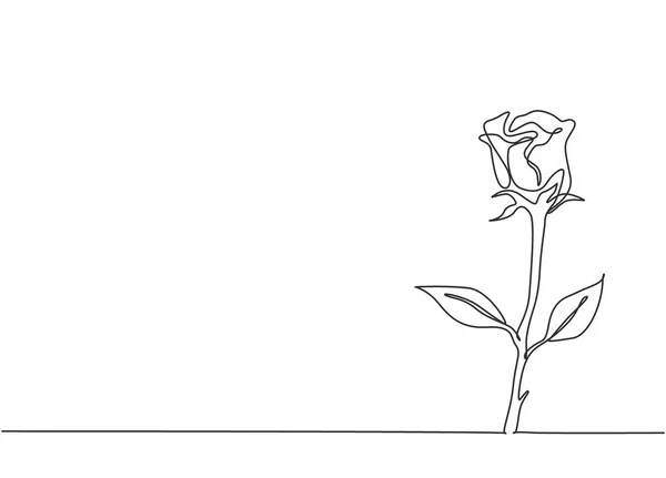 Ενιαία Συνεχή Γραμμή Σχέδιο Του Φρέσκου Ρομαντικού Όμορφο Τριαντάφυλλο Ευχετήρια — Διανυσματικό Αρχείο