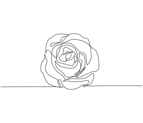 Una Línea Continua Dibujo Hermosa Flor Rosa Romántica Fresca Tarjeta — Archivo Imágenes Vectoriales