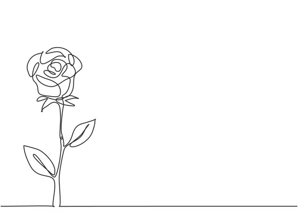 Однорядний Безперервний Малюнок Свіжої Романтичної Красивої Трояндової Квітки Вітальна Листівка — стоковий вектор