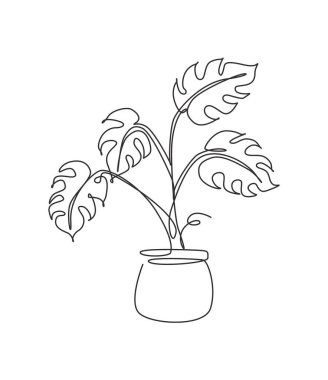 Tek sıra halinde tropikal canavar yaprağı çiziyor. Posterler için botanik tarzı konsept, duvar resimleri, çanta, mobil çanta, çıkartma, çıkartma. Moda bir çizgi tasarım vektörü grafik çizimi