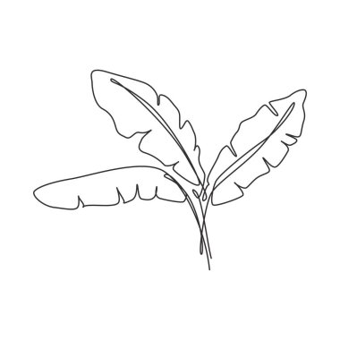 Tropikal muz yaprağı çizen kesintisiz bir çizgi. Organik minimum doğal çevre konsepti spa salonu. Ev dekorasyonu, poster, çanta, kumaş baskısı. Tek çizgi çizimi tasarım grafik vektör çizimi