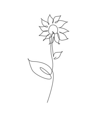 Minimalist güzelliği çizen tek sıra taze ayçiçeği. Posterler için çiçek konsepti, duvar resimleri, çanta, cep telefonu, tişört baskısı. Moda bir çizgi tasarım vektörü grafik çizimi