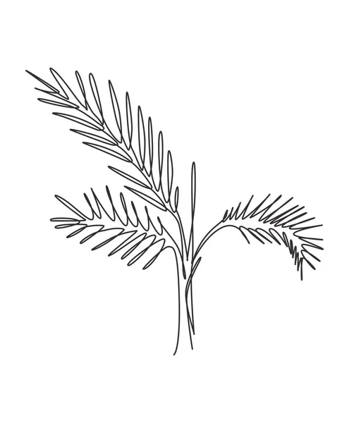 Een Enkele Lijn Tekening Palm Faux Areca Blad Vector Illustratie — Stockvector