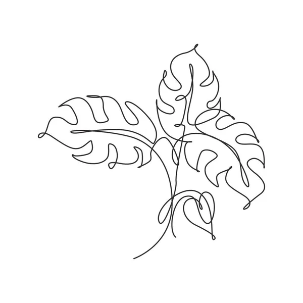 Una Sola Línea Continua Dibujando Hoja Monstera Concepto Estilo Botánico — Vector de stock