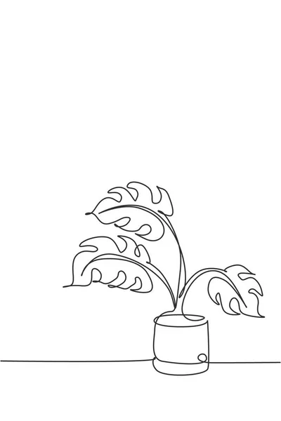 하나의 선그리기 Monstera Leaf Pot Vector Illustration 스타일 포스터 장식인 — 스톡 벡터