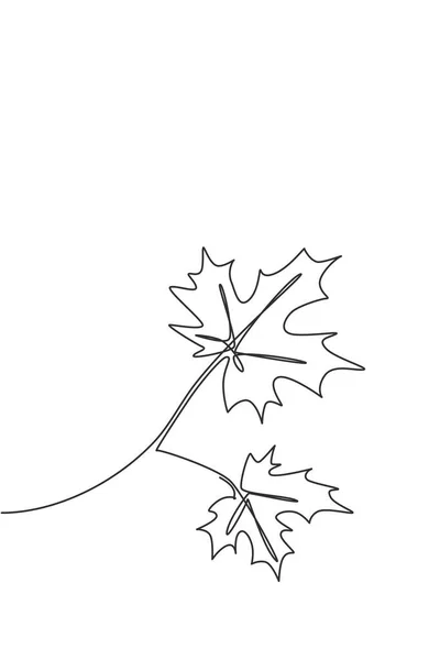 Однорядковий Безперервний Малюнок Весняного Кленового Листа Концепція Стилю Ботаніки Плакатів — стоковий вектор