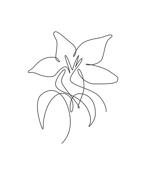 Een Continue Lijn Tekening Prachtige Abstracte Orchidee Bloem Minimaal Frisse — Stockvector