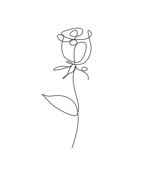 Enda Kontinuerlig Linje Ritning Minimalistisk Skönhet Röd Ros Blomma Blommigt — Stock vektor