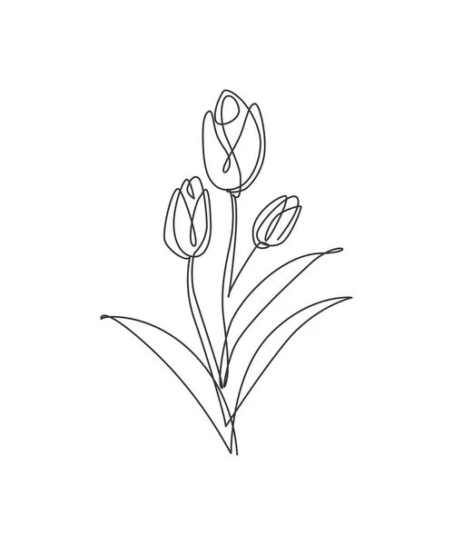 Enda Linje Ritning Skönhet Tulpan Blomma Vektor Illustration Minimal Tropisk — Stock vektor