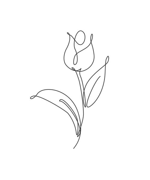 Enda Linje Teckning Skönhet Färsk Tulpan Blomma Vektor Illustration Minimal — Stock vektor
