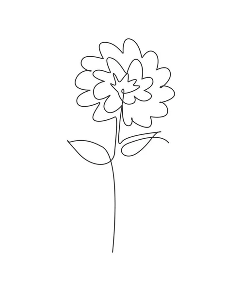 One Single Line Drawing Beauty Aster Flower Vector Illustration Minimal — Stock Vector