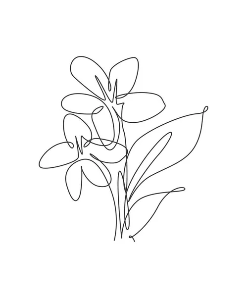 Een Enkele Lijn Tekening Schoonheid Jasmijn Bloem Vector Illustratie Minimale — Stockvector